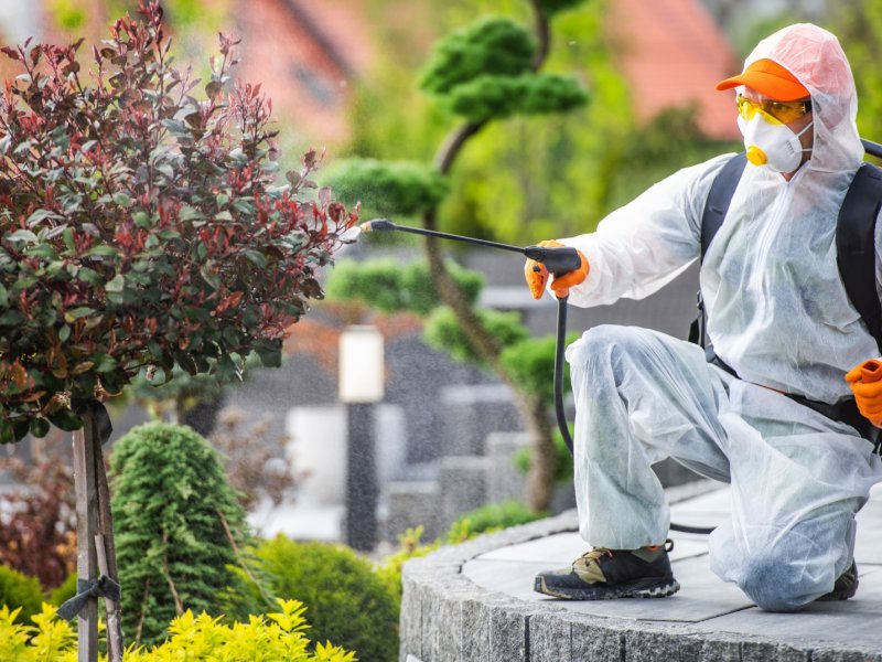 Emet Haşere İlaçlama